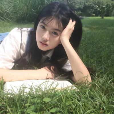 丹麦之子